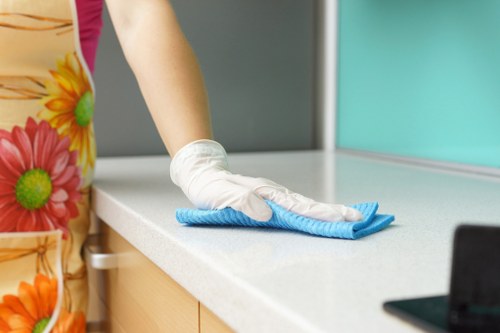 Professional steam carpet cleaning service for a Waterloo home