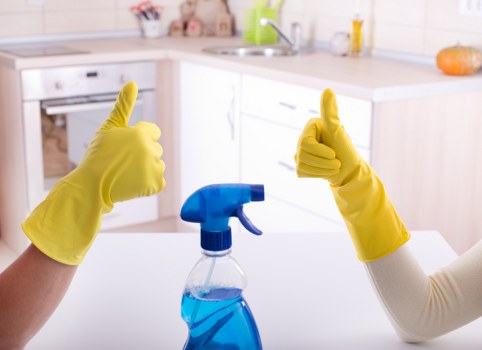 Professional stain cleaning on upholstered furniture in Waterloo