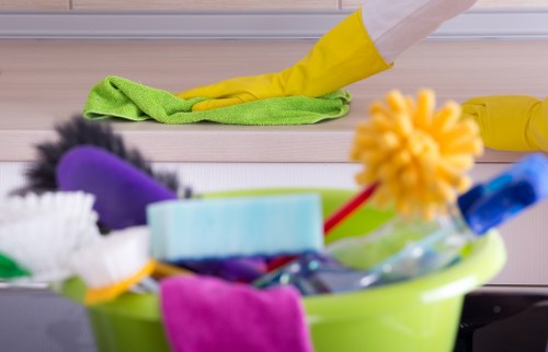 Odour-neutralising treatment for pet stains in carpets