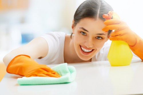 Professional carpet cleaning in Waterloo with careful attention to detail