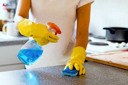 Flexible domestic cleaning service for Waterloo households