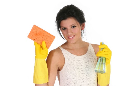 Local Waterloo home service for pet odour cleaning