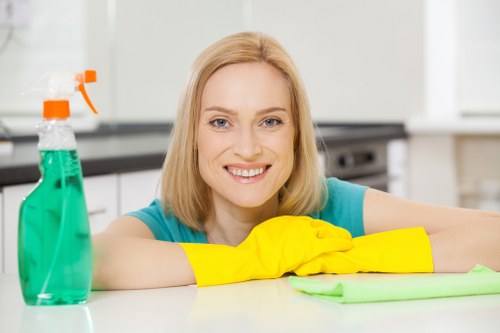 Professional oven cleaning service in a Waterloo kitchen