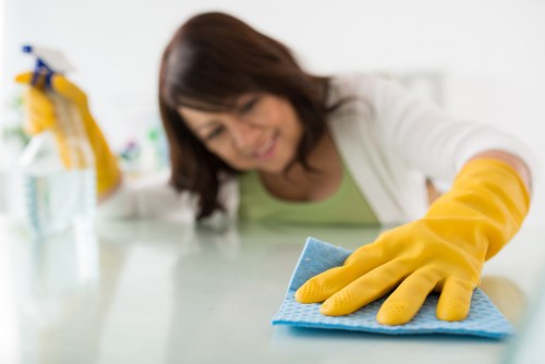 Deep cleaning oven racks and interior surfaces in Waterloo