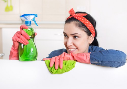 Local oven cleaning for a flat or apartment in Waterloo