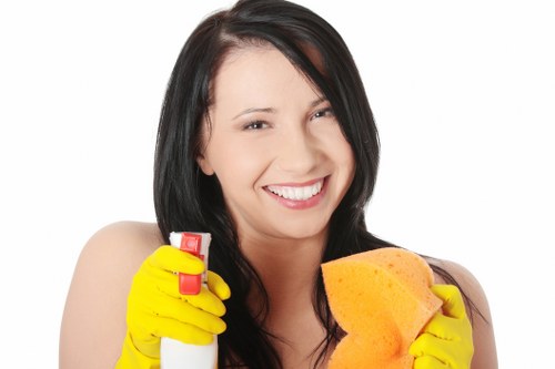 Waterloo carpet cleaning service focused on clean and fresh interiors