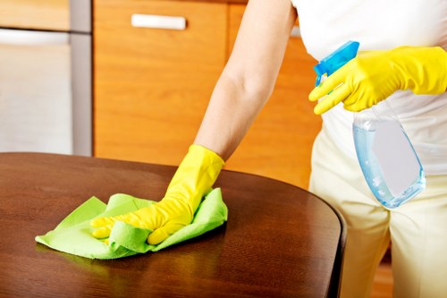 Technician assessing a room for carpet cleaning risks and hazards